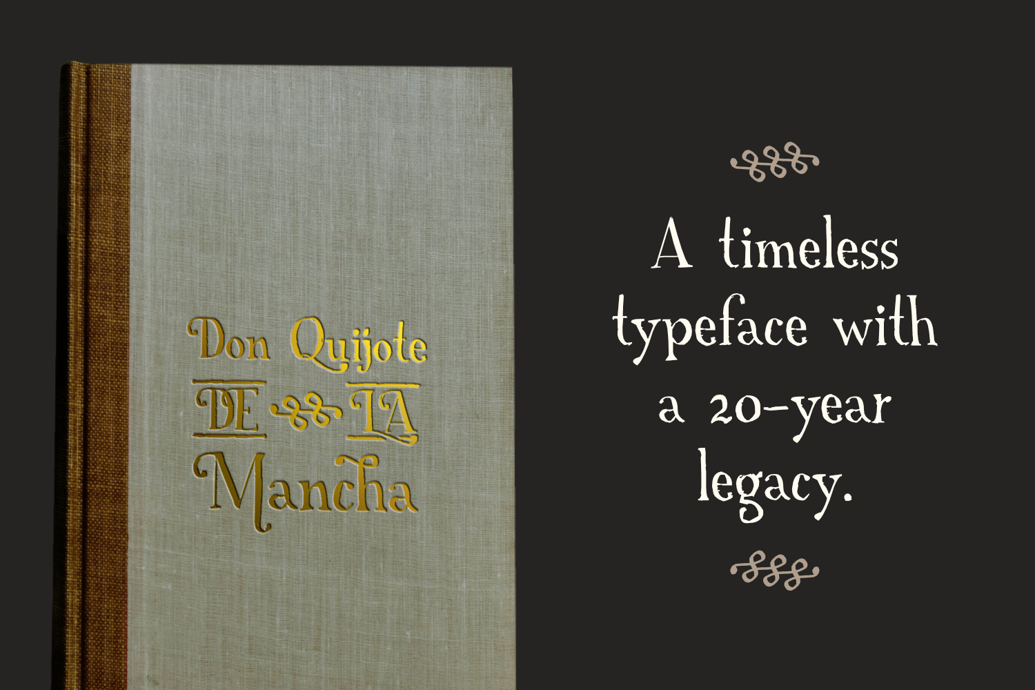 Example 5 of font A Font with Serifs Pro