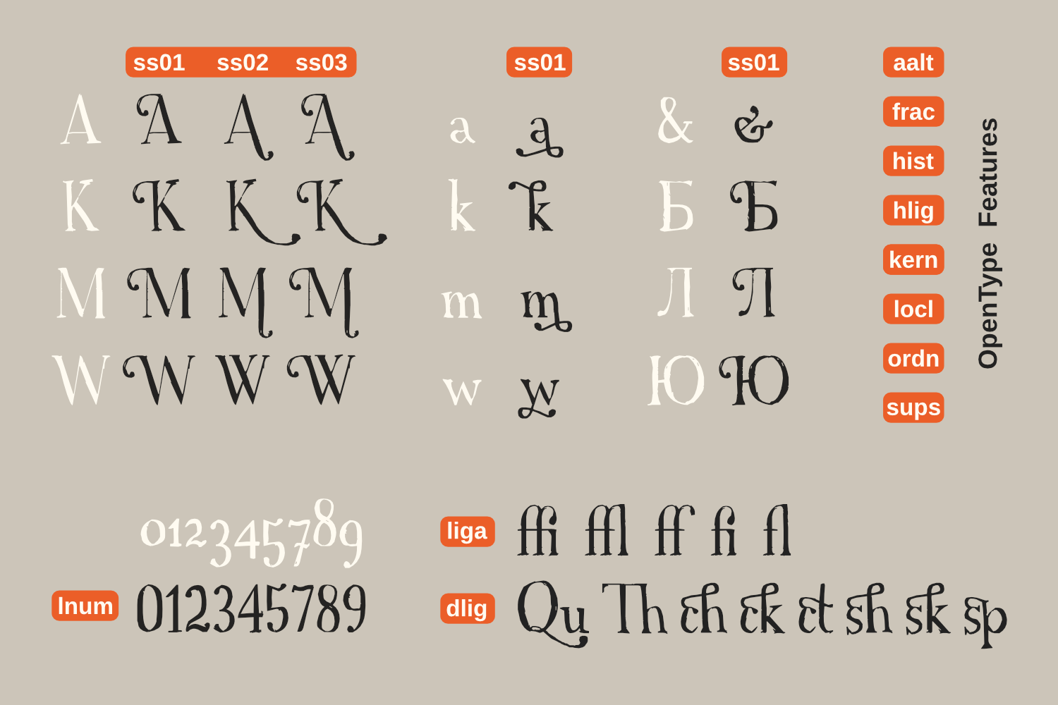 Example 6 of font A Font with Serifs Pro